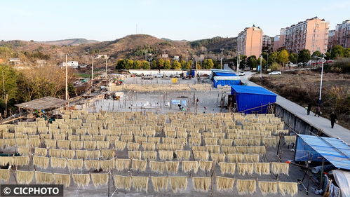 農(nóng)副食品加工忙